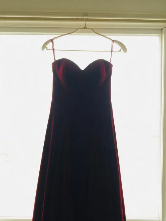 burgundy velvet evening gown